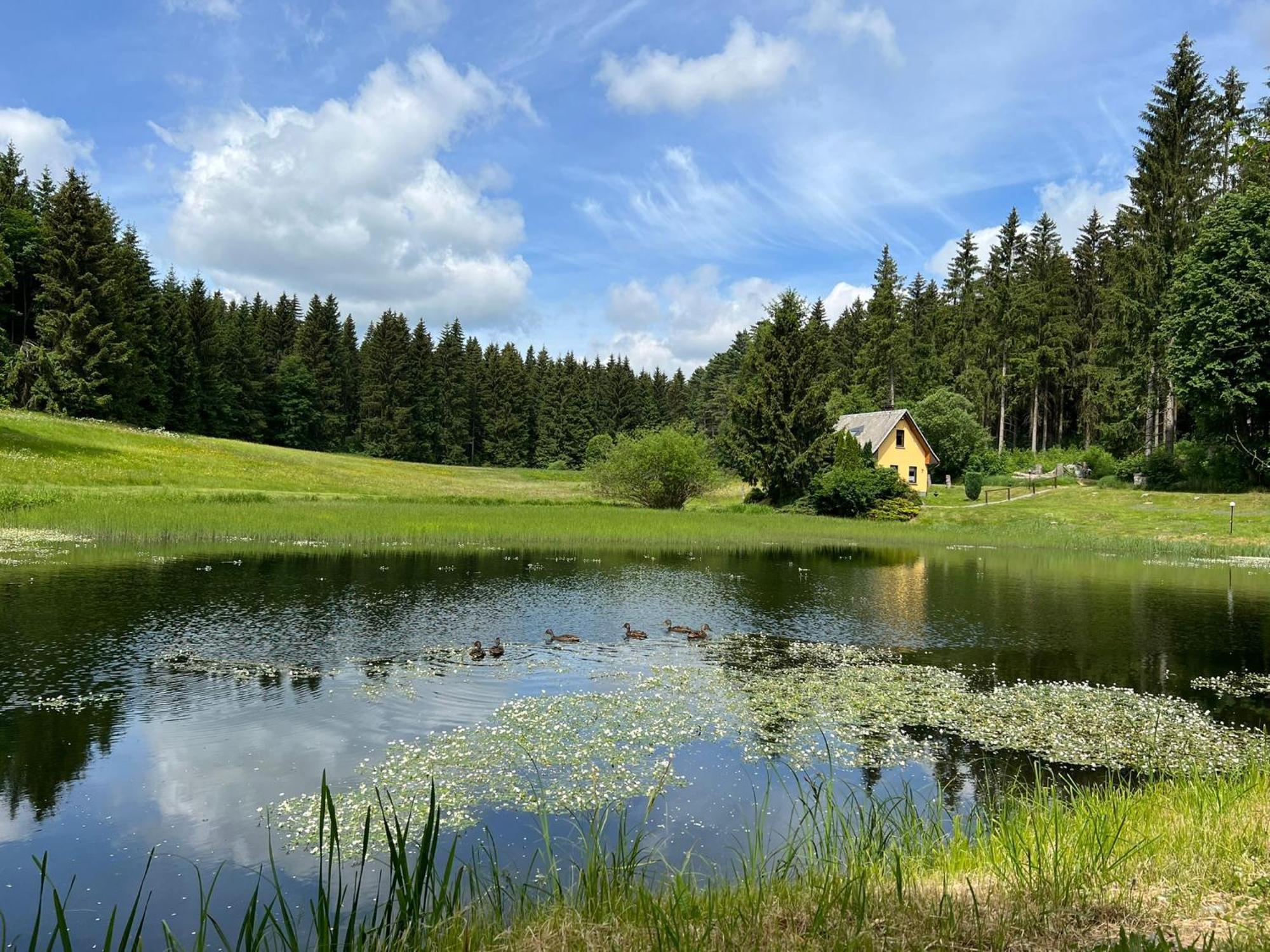 Berghotel Talblick Голжау Екстер'єр фото